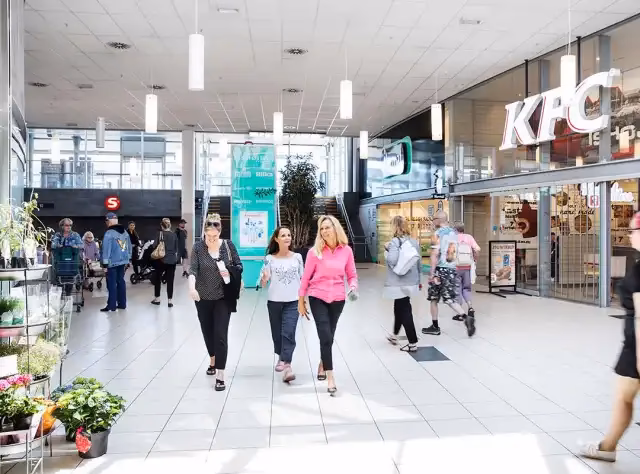 Hvad er Ishøj kendt for?