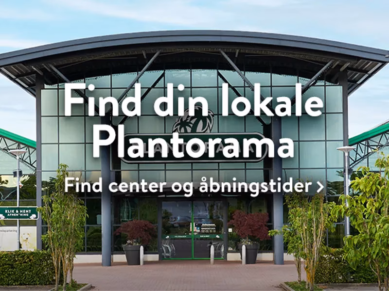 Hvem er ejer af Plantorama?