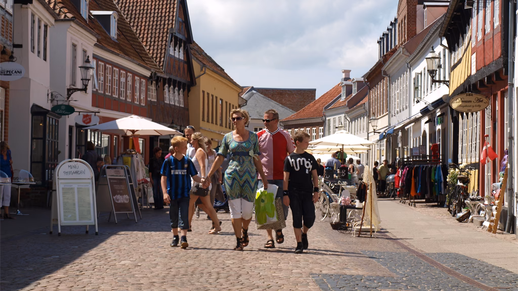 Hvilke butikker er der i Ribe?